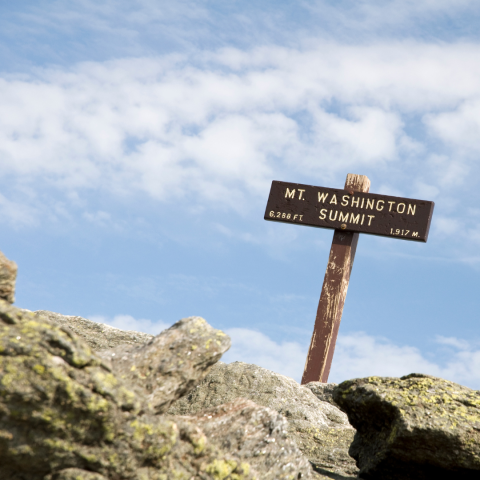 washington summit