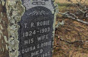 An image of headstones