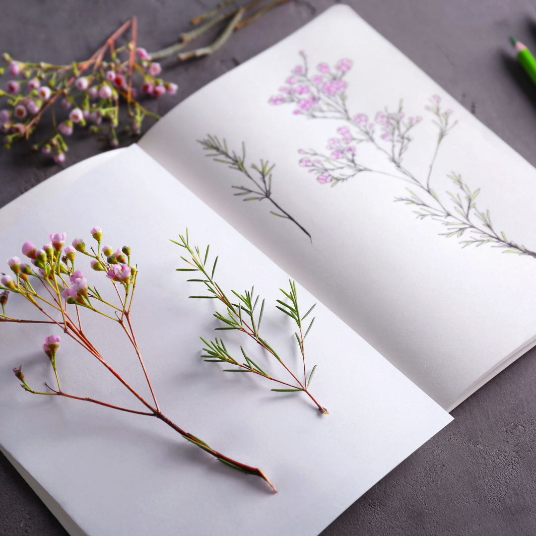 Nature Flowers Journal