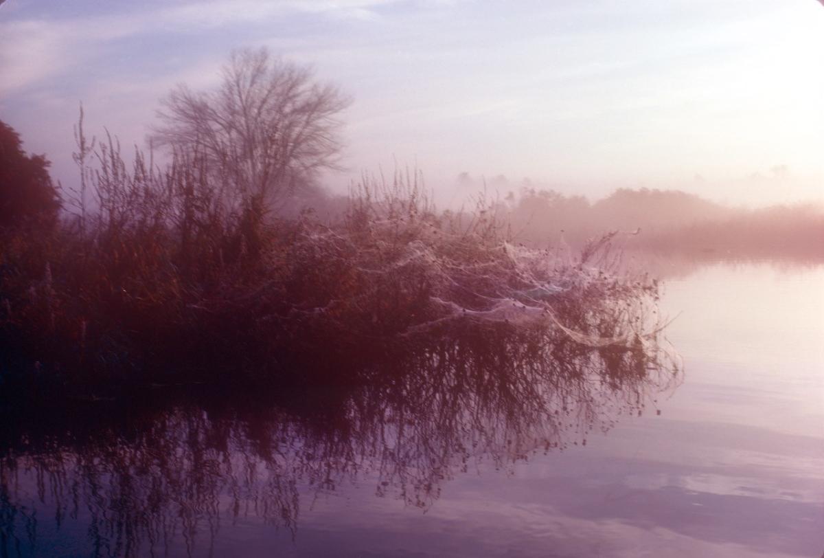 River Webs 1977