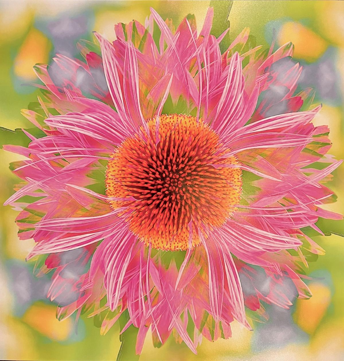 A photo of a flower. 